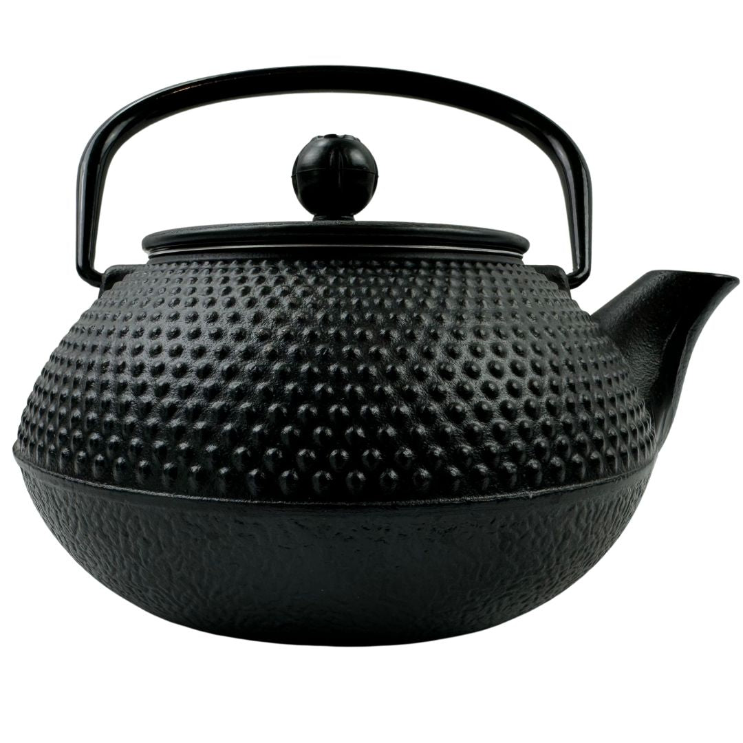 Lifespace Luxury Black Cast Iron 600ml Tea Infuser Teapot - Lifespace