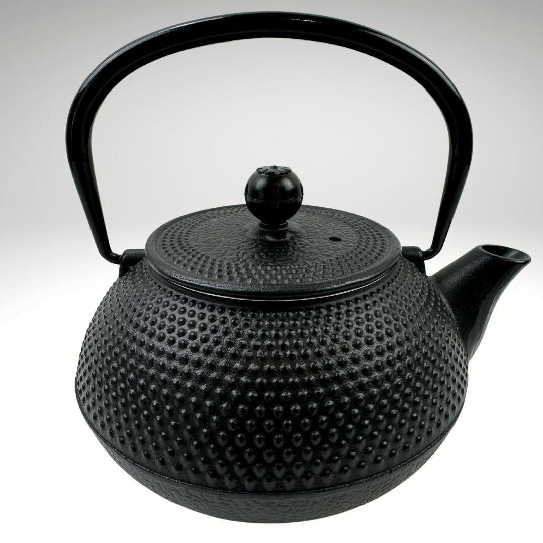 Lifespace Luxury Black Cast Iron 600ml Tea Infuser Teapot - Lifespace