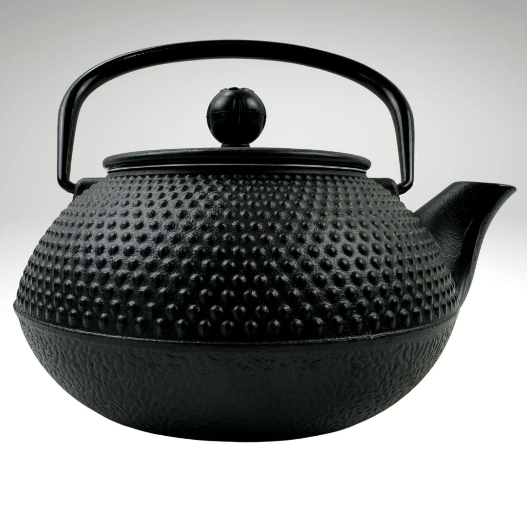 Lifespace Luxury Black Cast Iron 600ml Tea Infuser Teapot - Lifespace