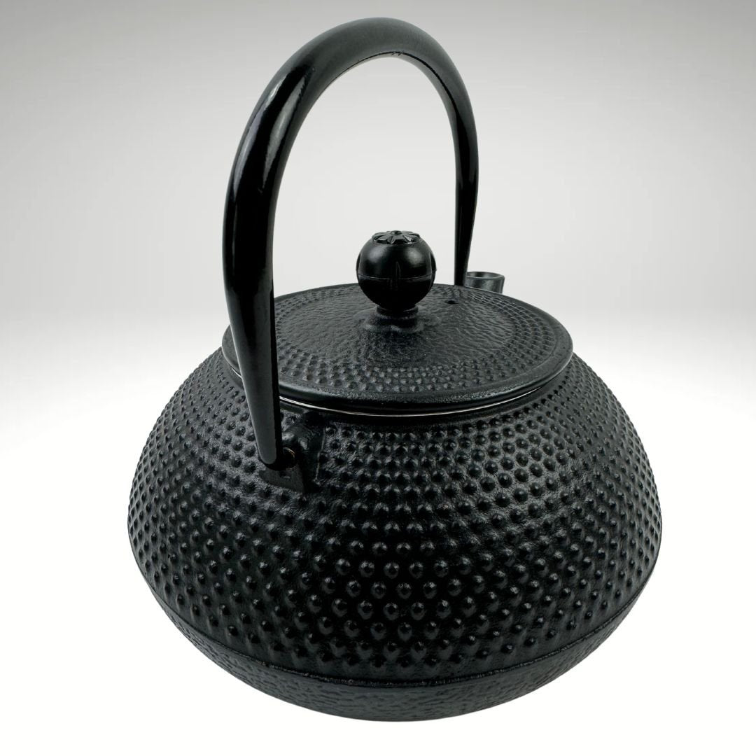 Lifespace Luxury Black Cast Iron 600ml Tea Infuser Teapot - Lifespace