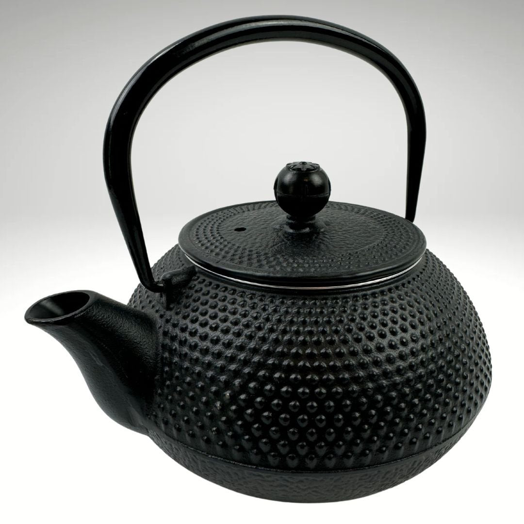 Lifespace Luxury Black Cast Iron 600ml Tea Infuser Teapot - Lifespace