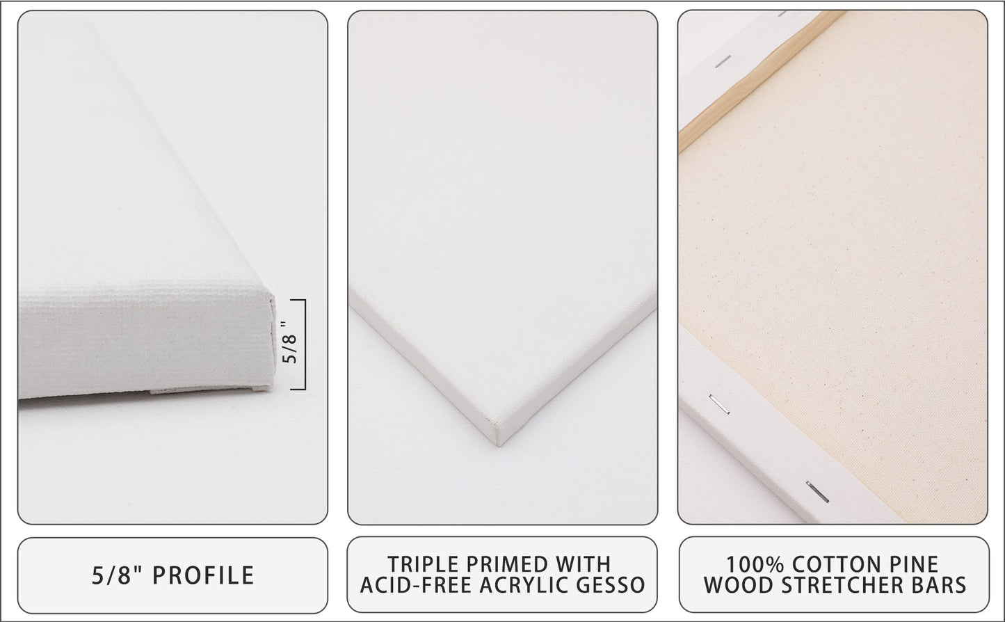 Artecho Stretched Canvas 6 Set Value Pack White - 20cm x 20cm - Lifespace