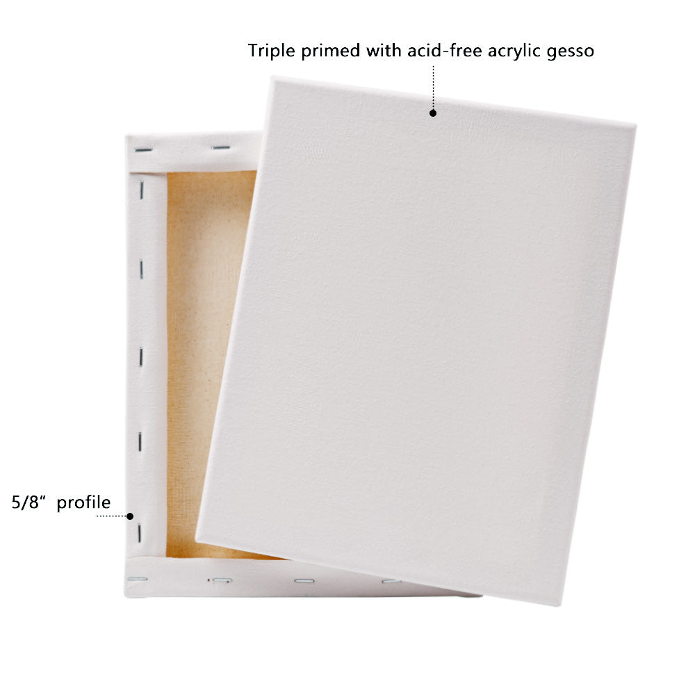 Artecho Stretched Canvas 6 Set Value Pack White - 20cm x 20cm - Lifespace